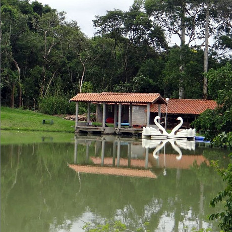 Lago e Pedalinhos