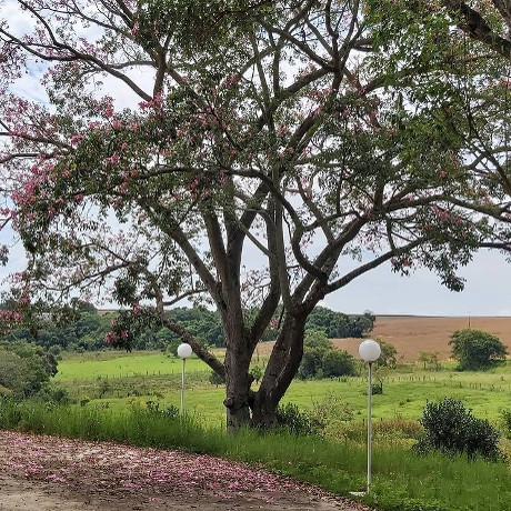 Vista do Monte Horebe